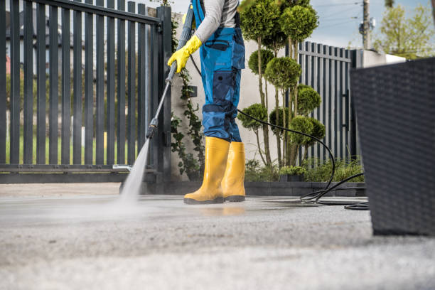 Best Soft Washing for Delicate Surfaces in Rosharon, TX